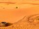 pozos en el desierto del Sahara
